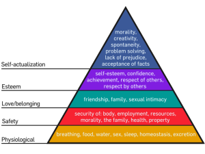 800px-Maslow's_Hierarchy_of_Needs.svg